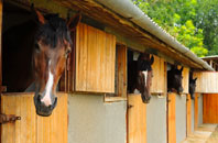 free Stow Bardolph stable construction quotes